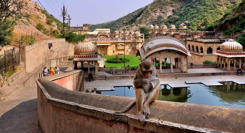 galtaji temple