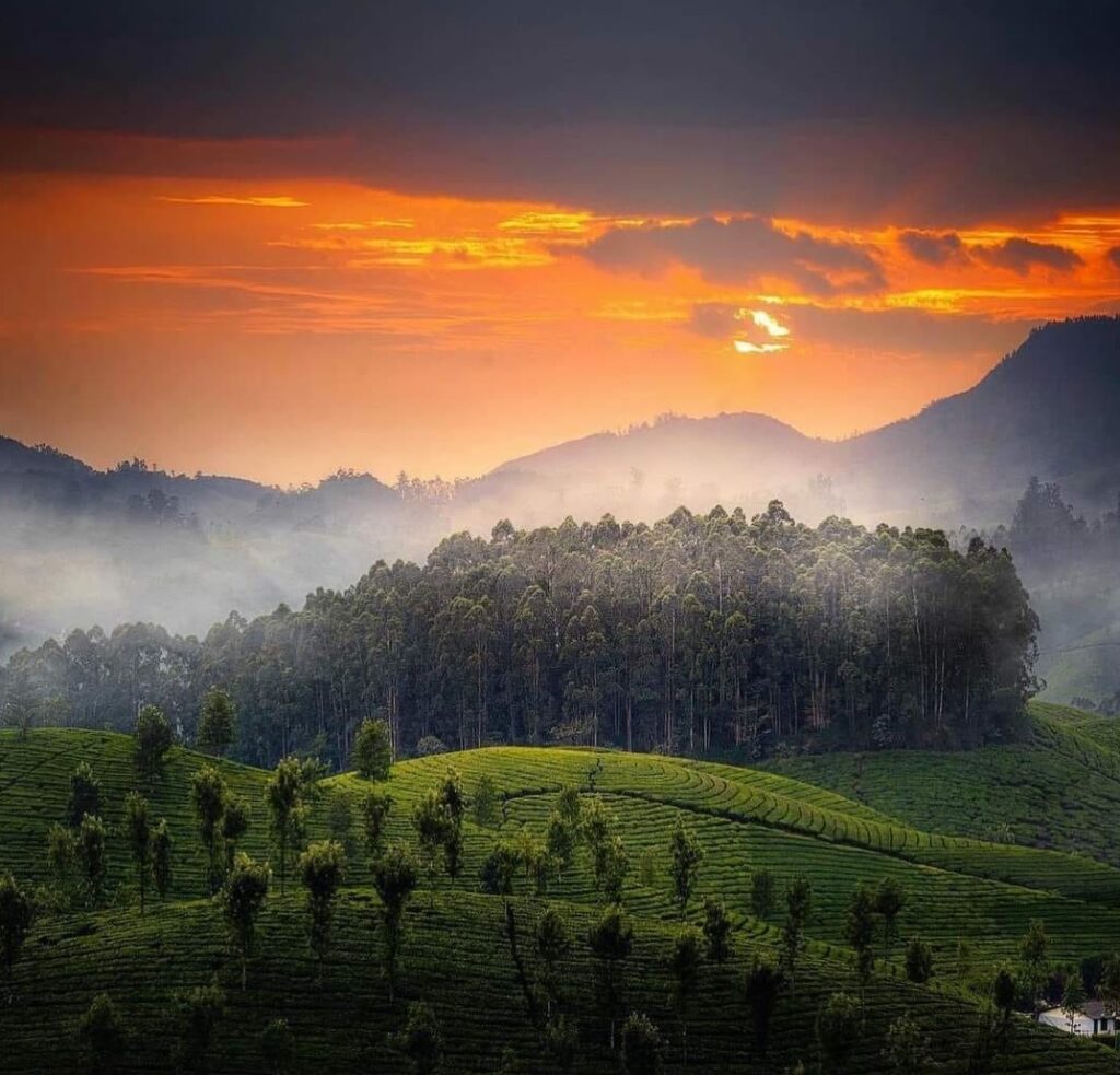 Munnar