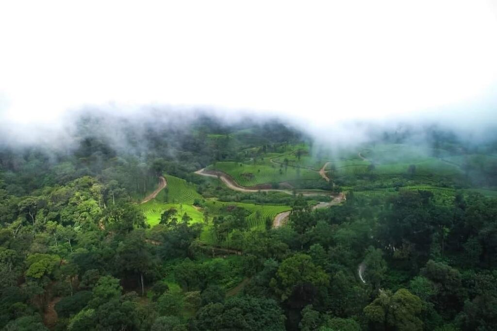 Munnar