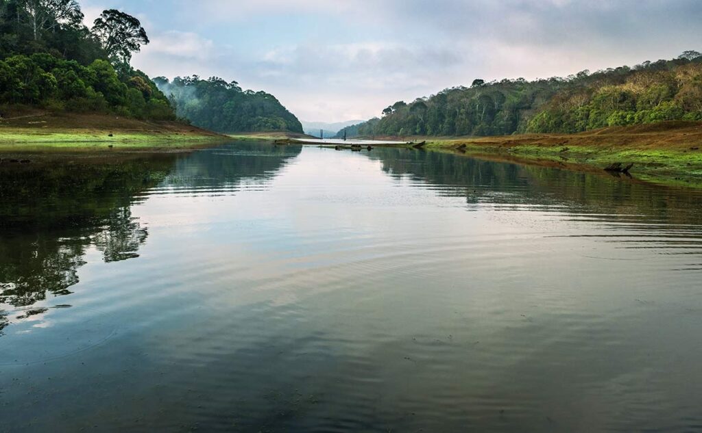 Travel to South India: Periyar