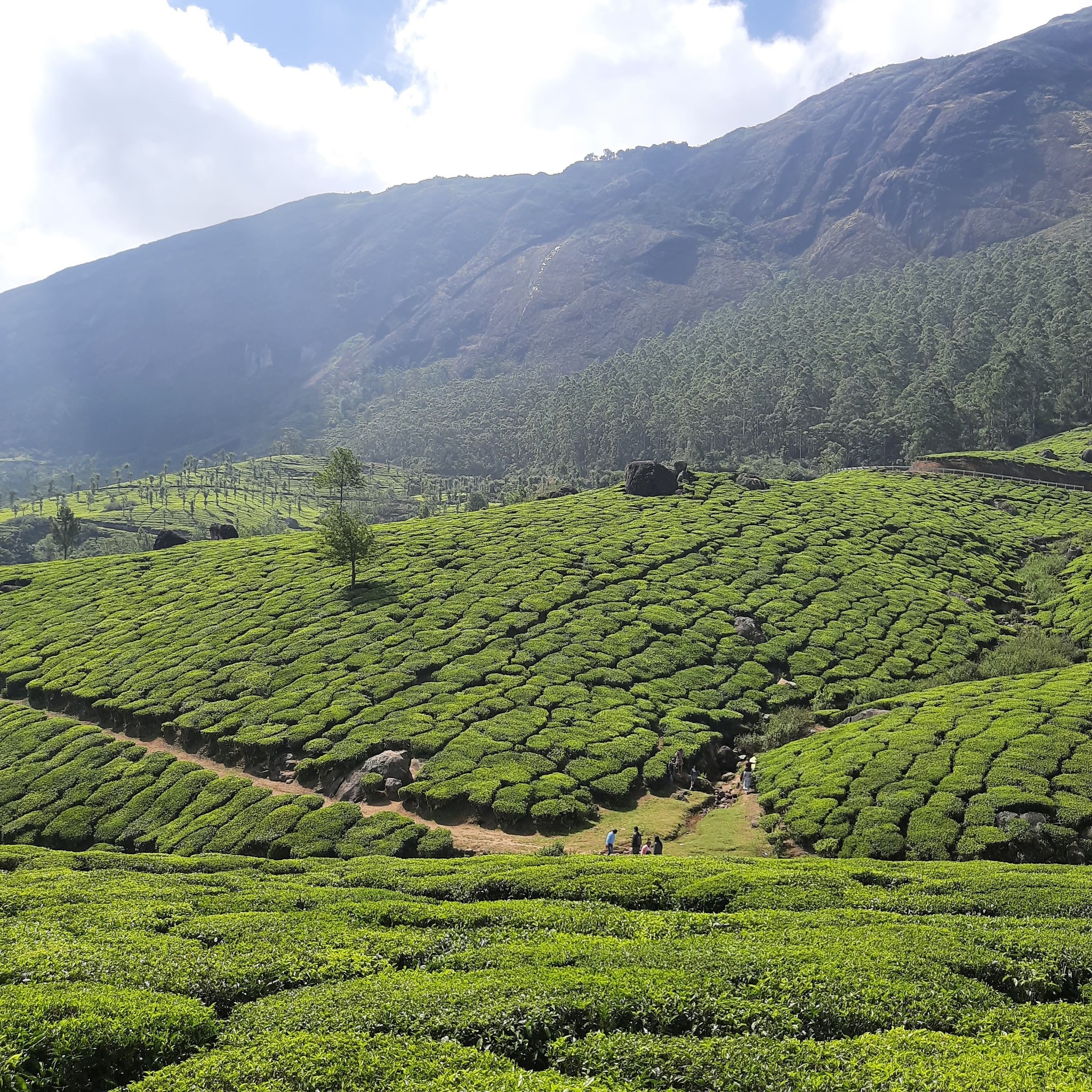 India Visa: Price and Updated Information
