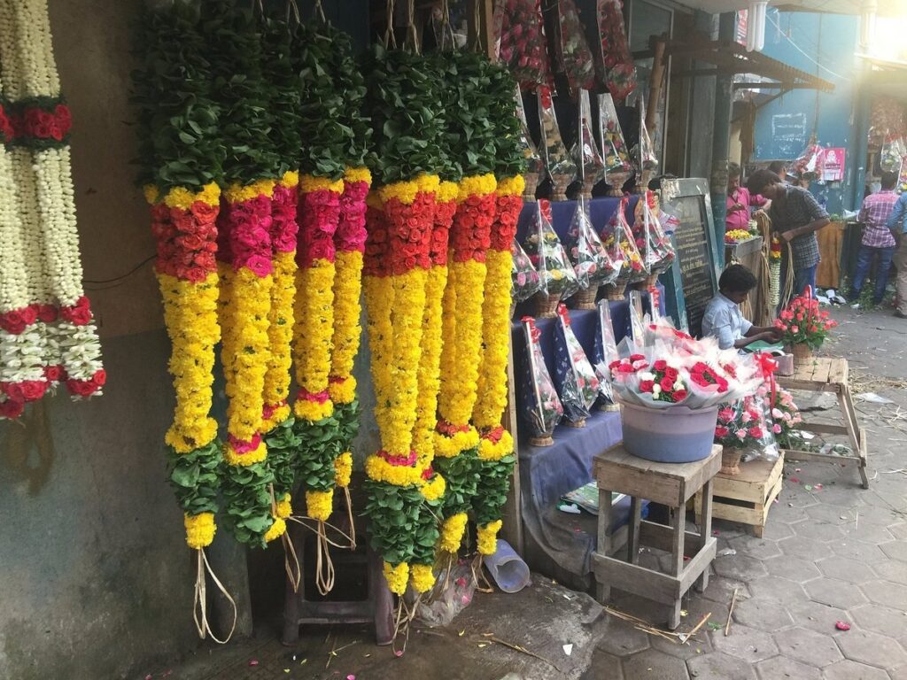 Chennai Travel Guide.