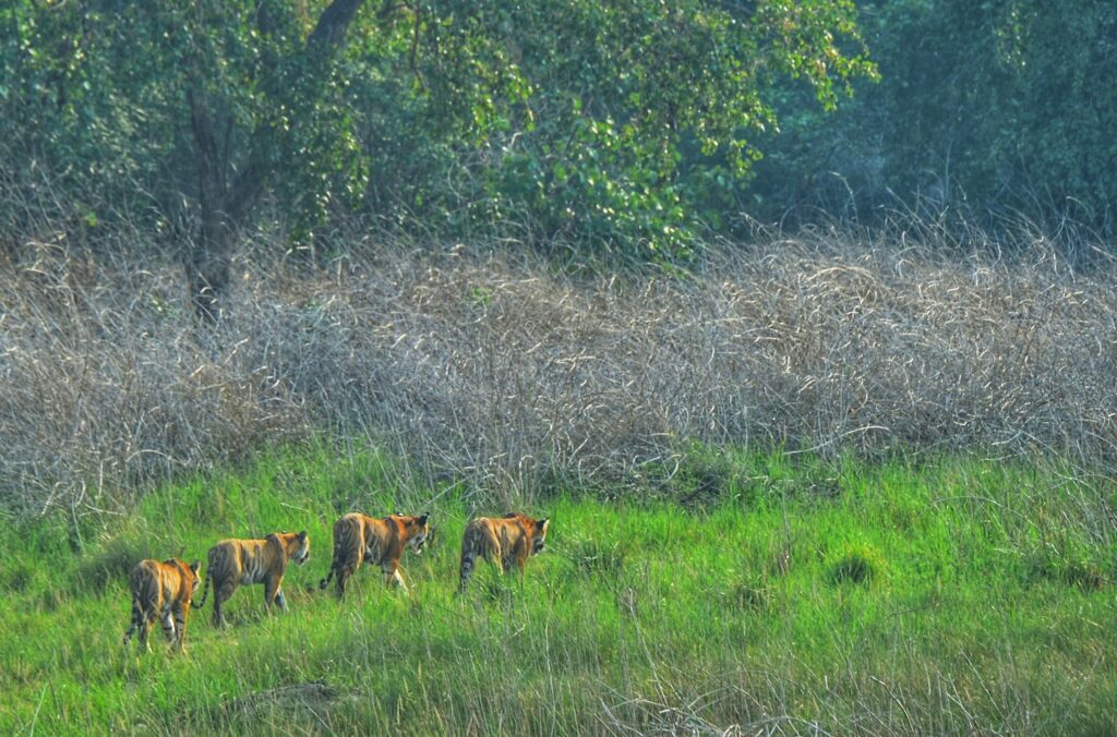 Beautiful Places to Visit in India