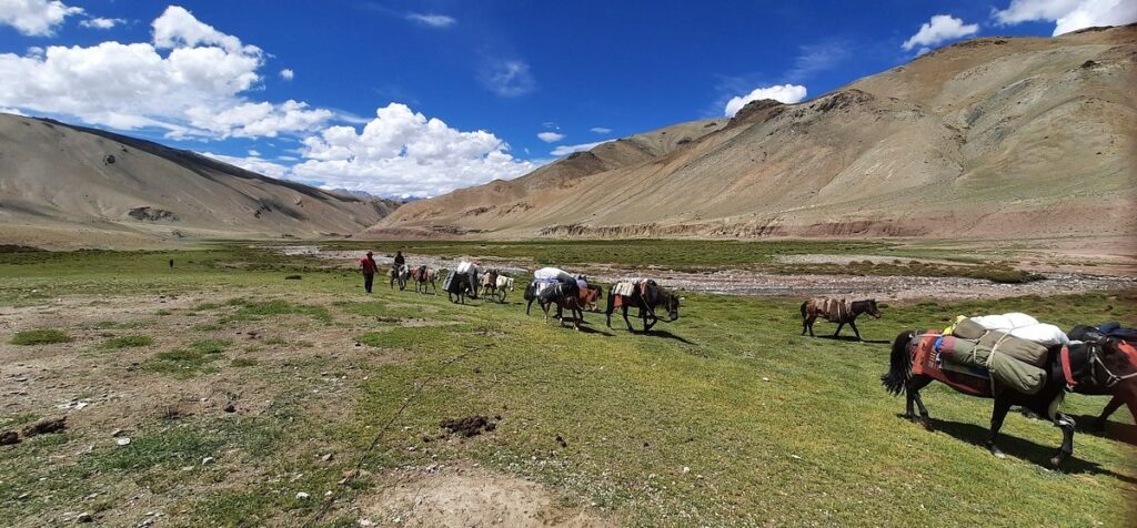 Leh Ladakh Travel Information Guide blog