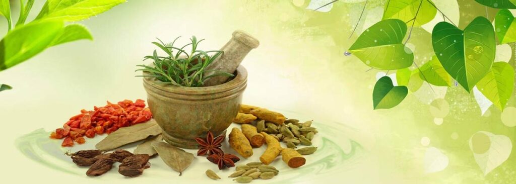 Ayurvedic Therapies in India