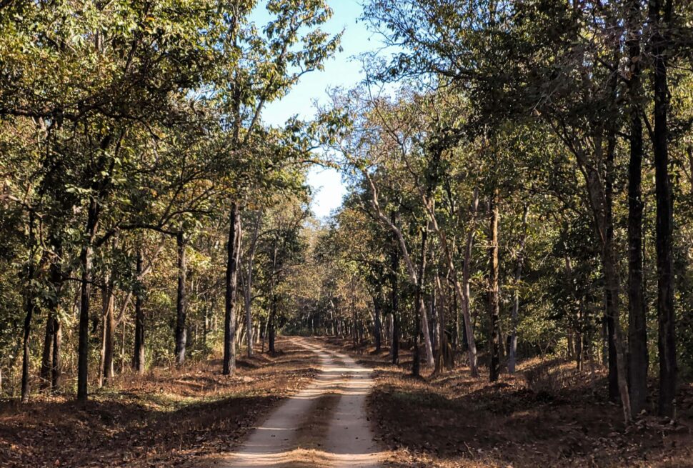 Kanha National Park