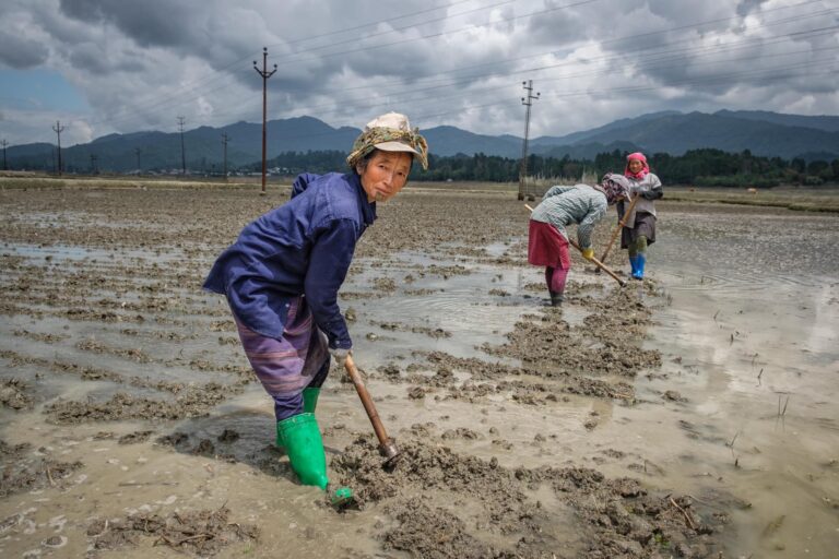 Ziro Valley Arunachal Pradesh