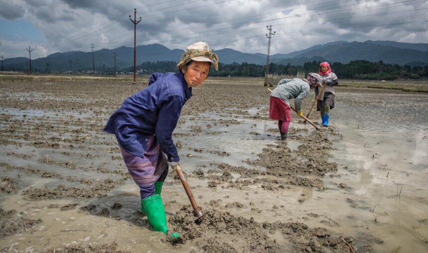 Travel to Ziro Valley, Arunachal Pradesh