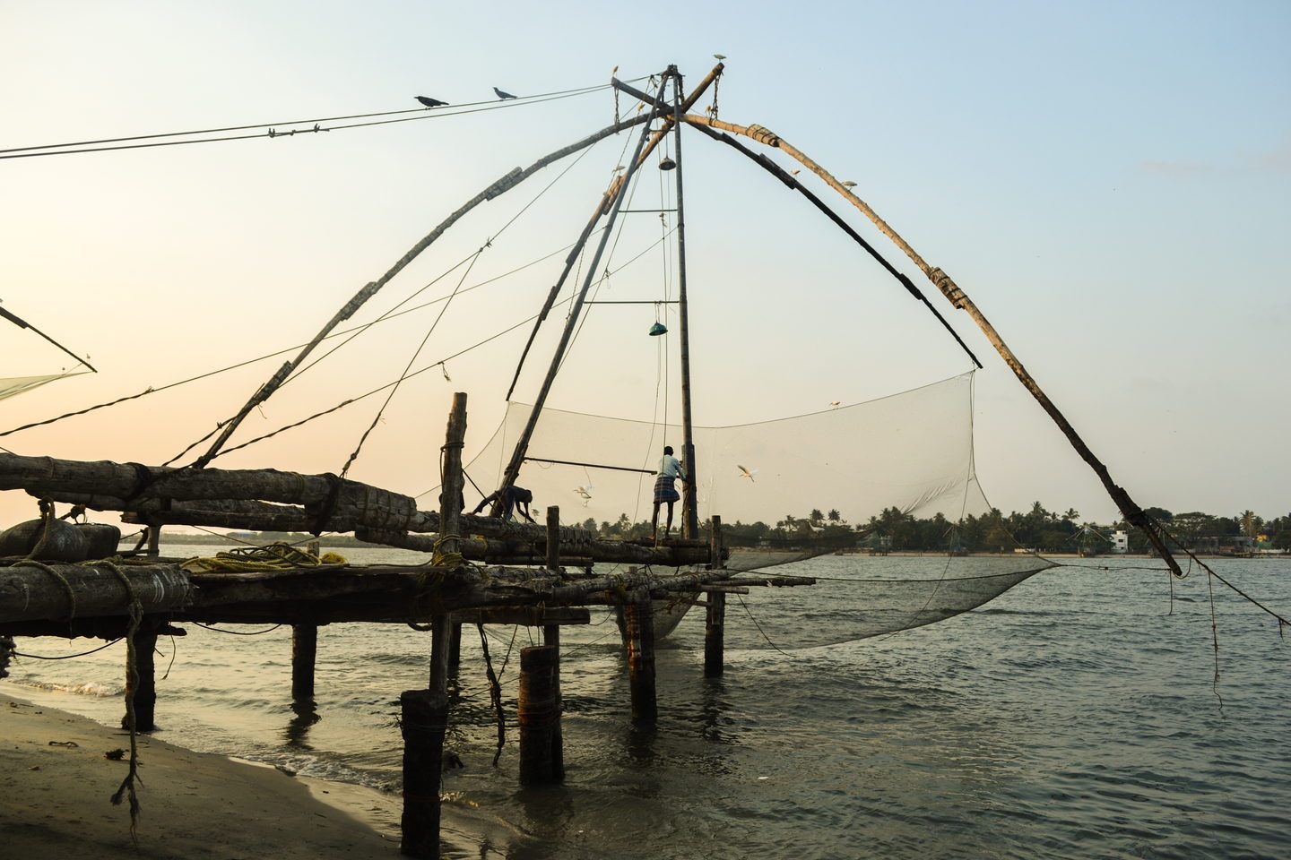 Cochin