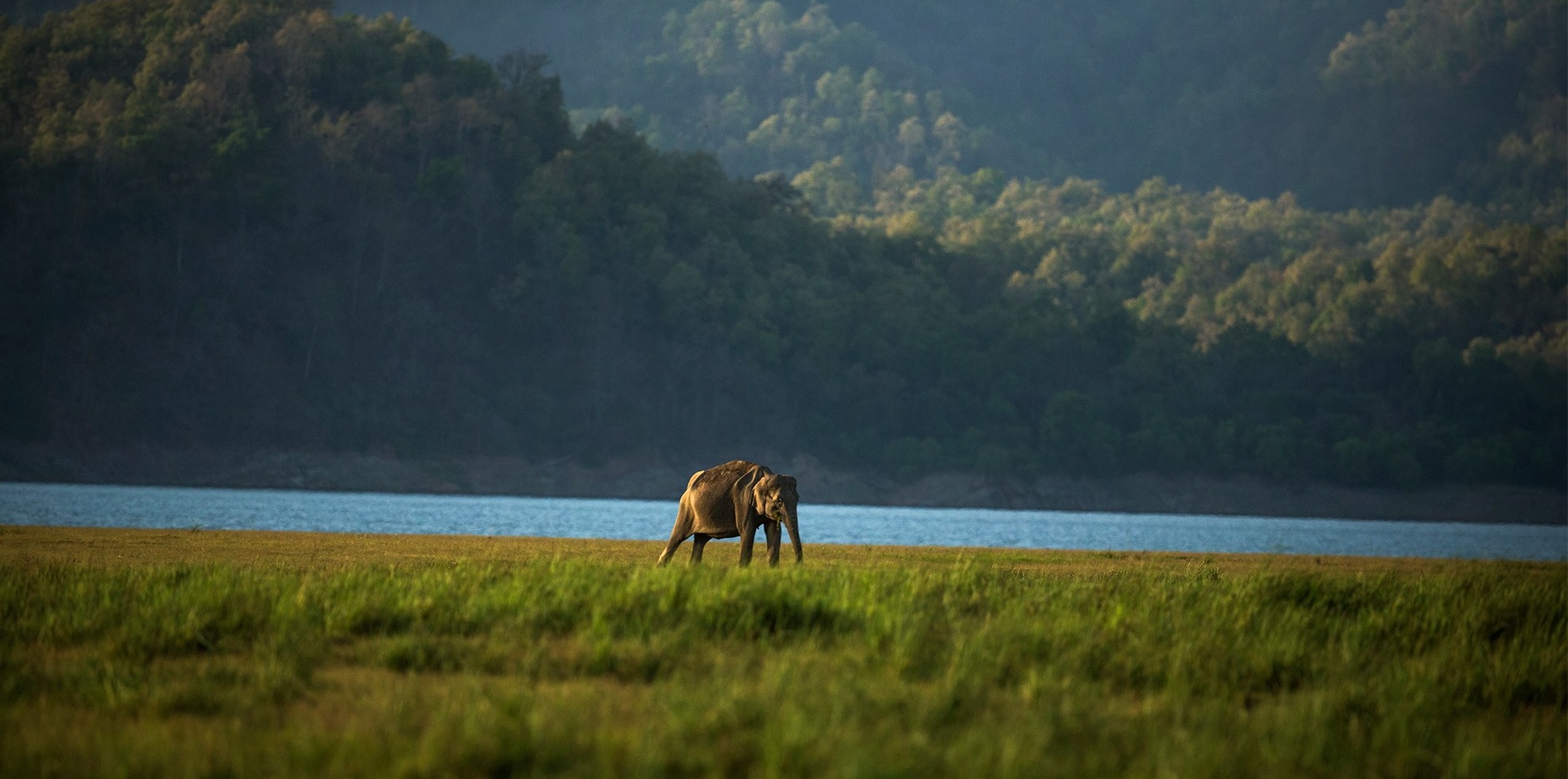 Luxury Wildlife Tour North India