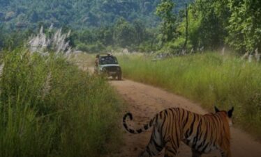 Bandhavgarh