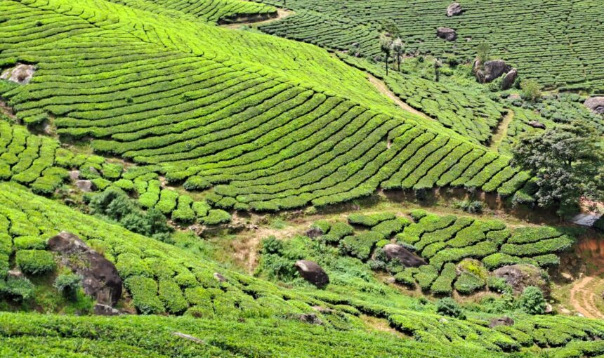 Explore Kerala