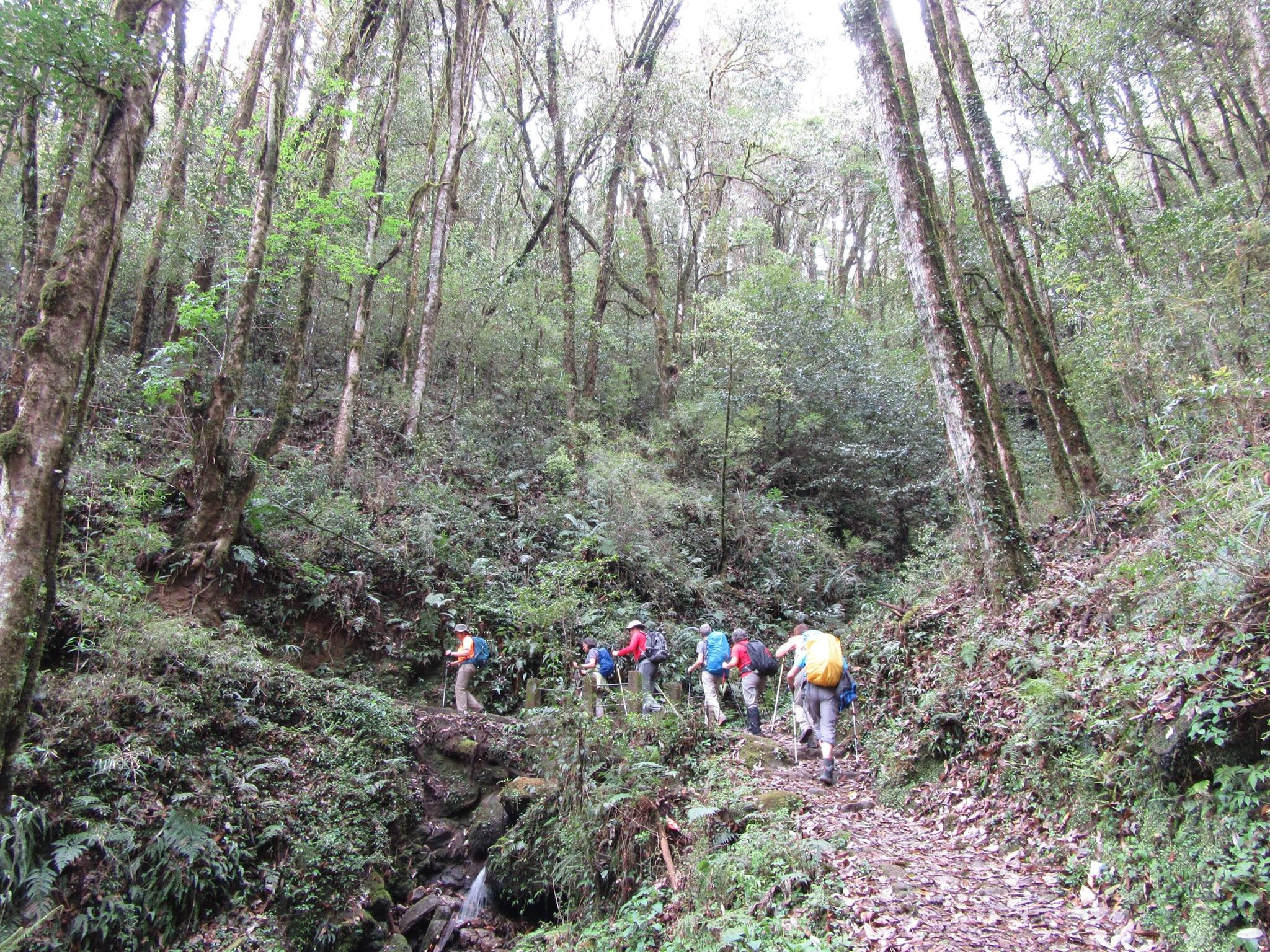DARJEELING – NORHT EAST INDIA