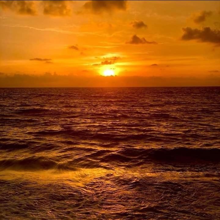 Marari Beach in Kerala | South India