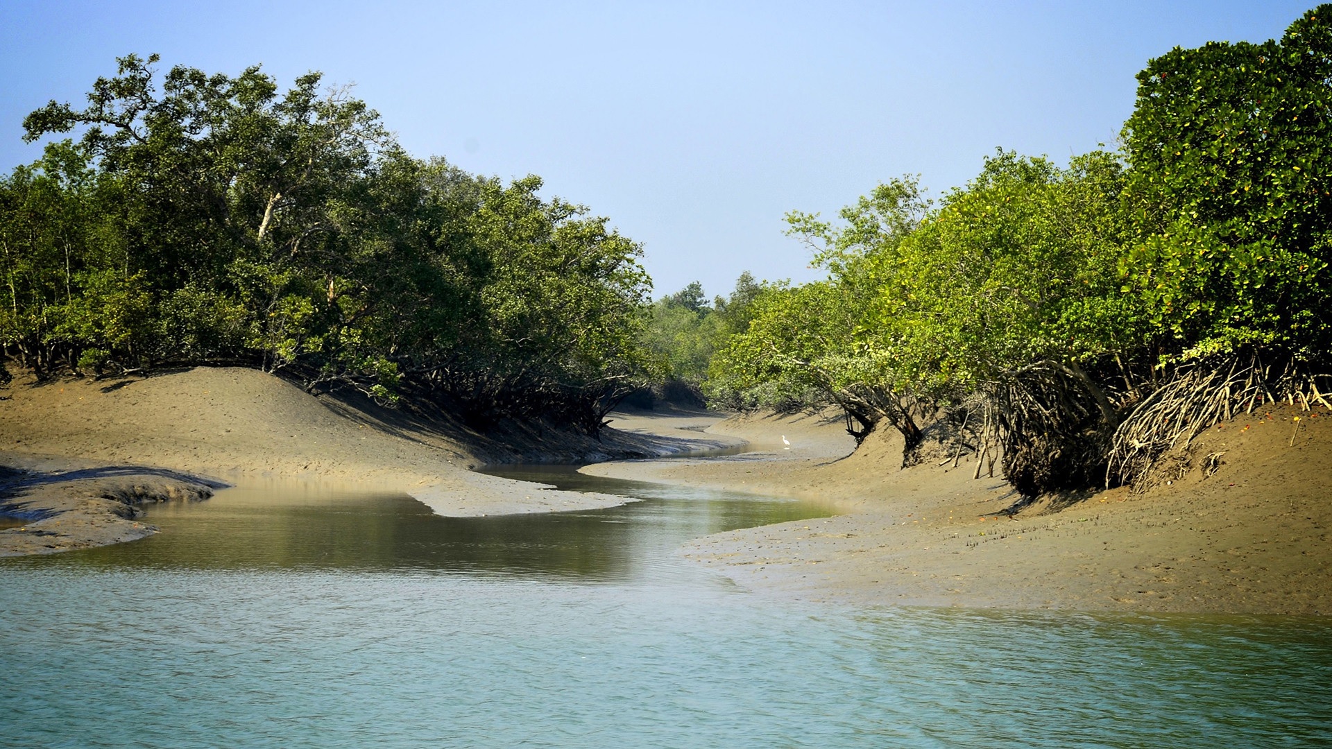 Top 10 National Parks in India by Delighted Journey