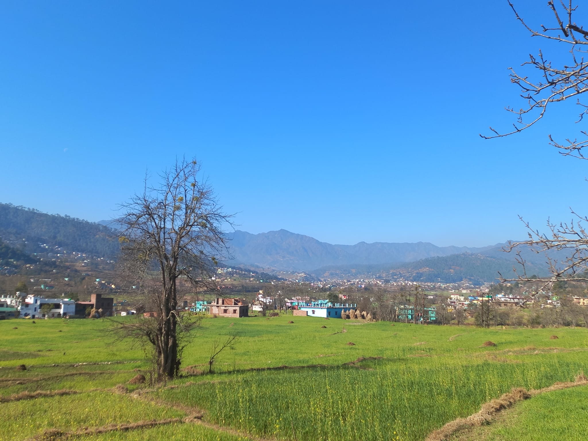 What is the best time to visit National Park in India?