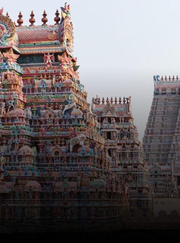 Best South India Tours 2025