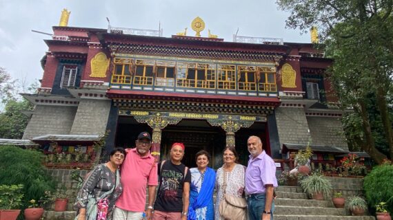 Delighted Journey Client Testimonials