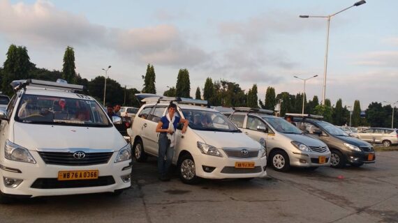 Delighted Journey Client Testimonials